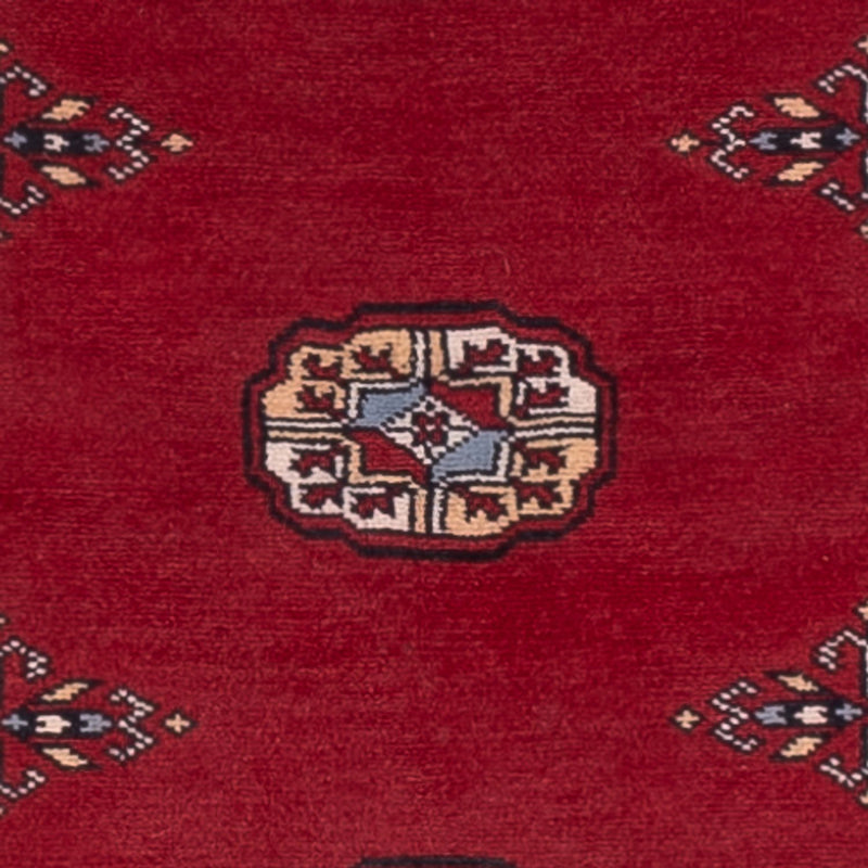 Pakistan teppe 247x77cm - Orientalsk teppe
