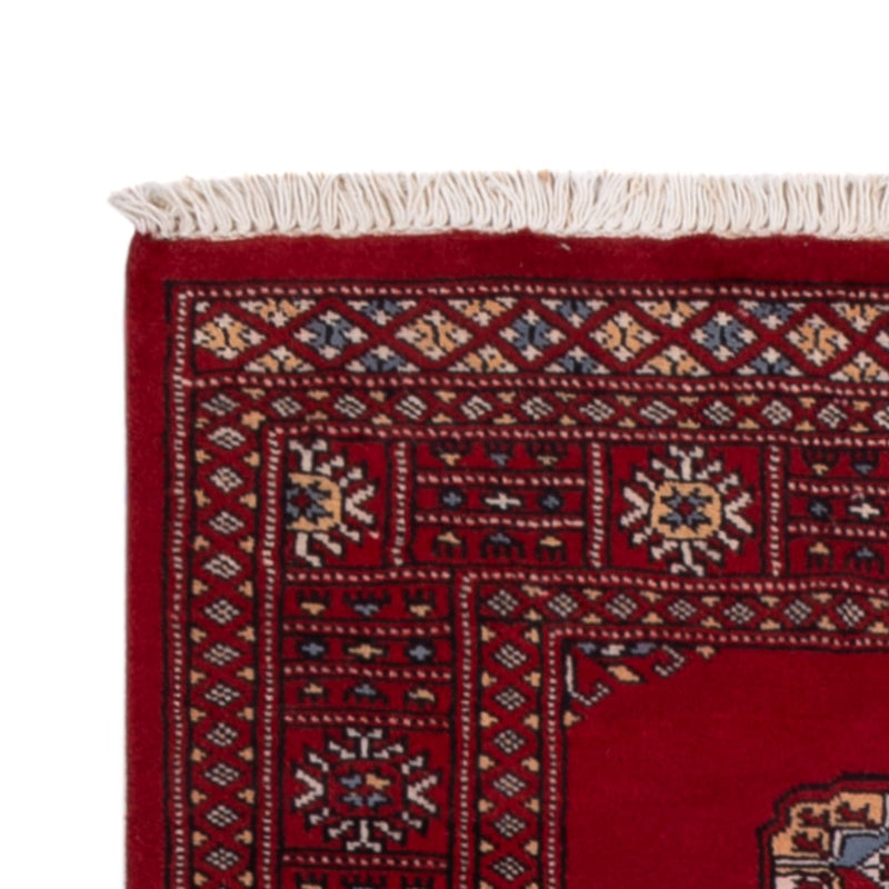 Pakistan teppe 247x77cm - Orientalsk teppe
