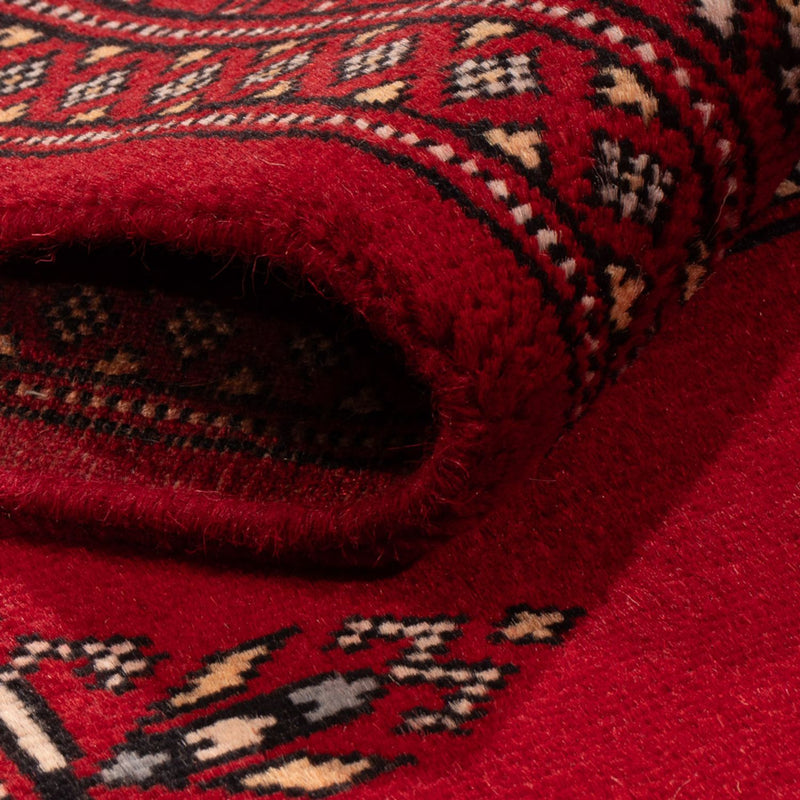 Pakistan teppe 247x77cm - Orientalsk teppe