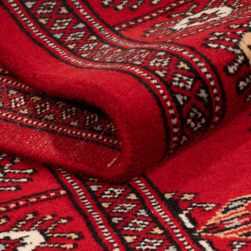 Pakistan teppe 78x183cm - Orientalsk teppe