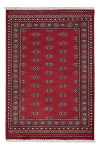 Pakistan teppe 203x137cm - Orientalsk teppe – product image