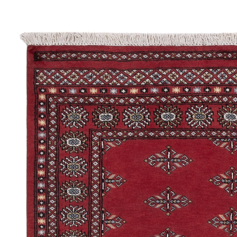 Pakistan teppe 203x137cm - Orientalsk teppe