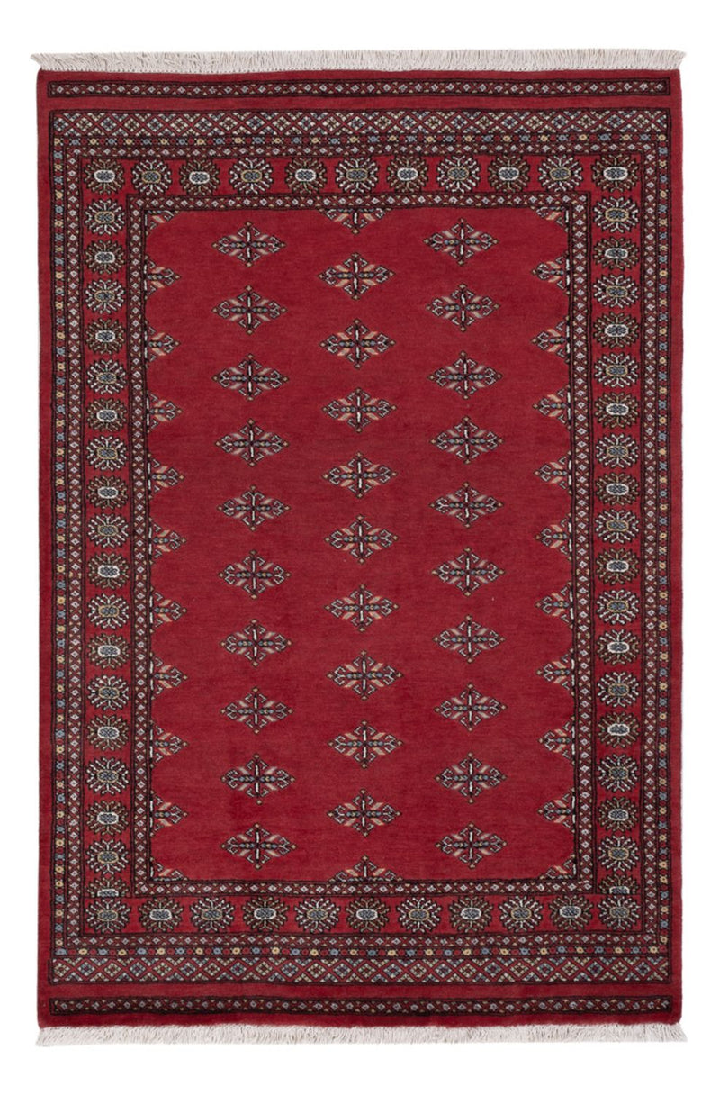 Pakistan teppe 208x140cm - Orientalsk teppe