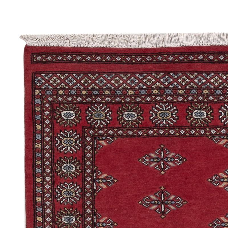 Pakistan teppe 208x140cm - Orientalsk teppe
