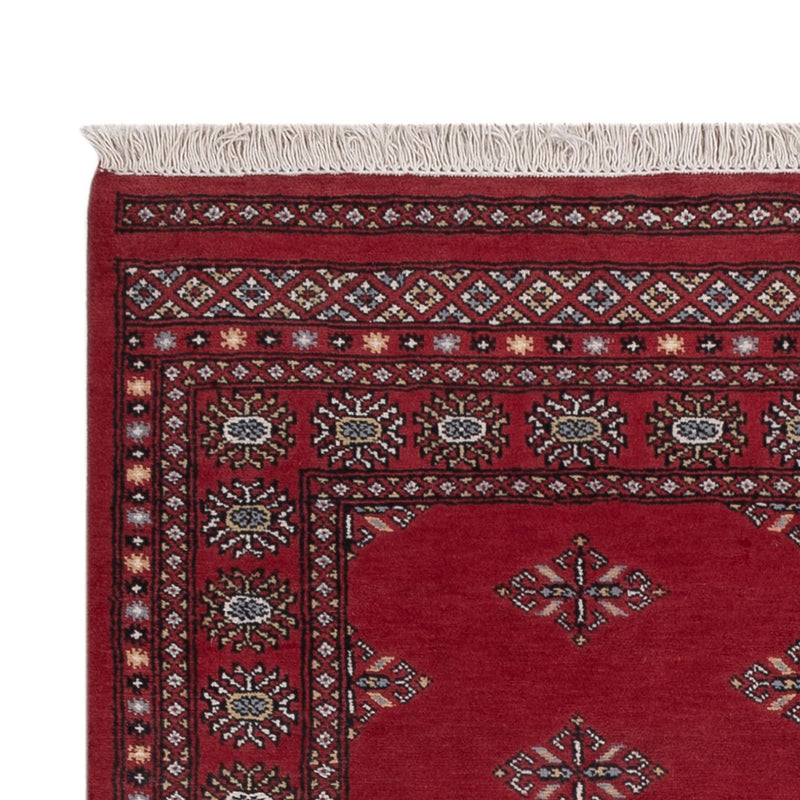 Pakistan teppe 217x139cm - Orientalsk teppe
