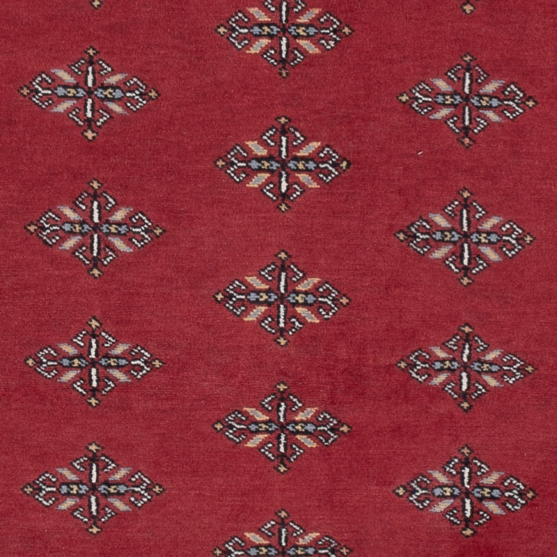 Pakistan teppe 215x137cm - Orientalsk teppe