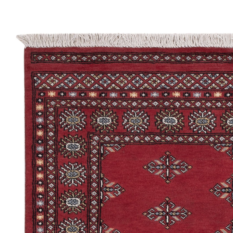 Pakistan teppe 215x137cm - Orientalsk teppe
