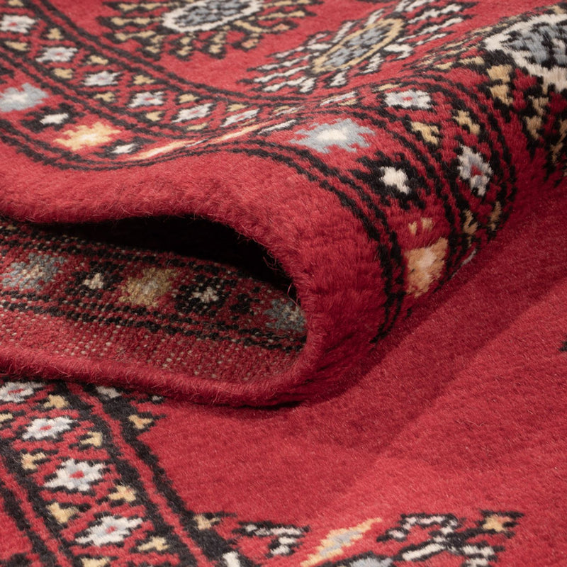 Pakistan teppe 215x137cm - Orientalsk teppe