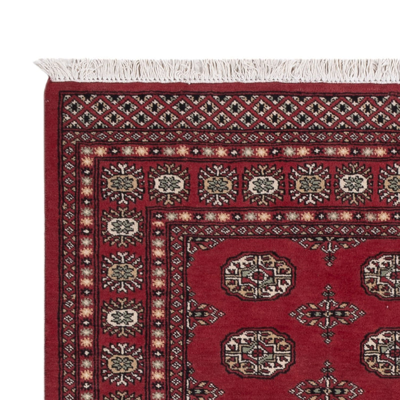 Pakistan teppe 204x139cm - Orientalsk teppe