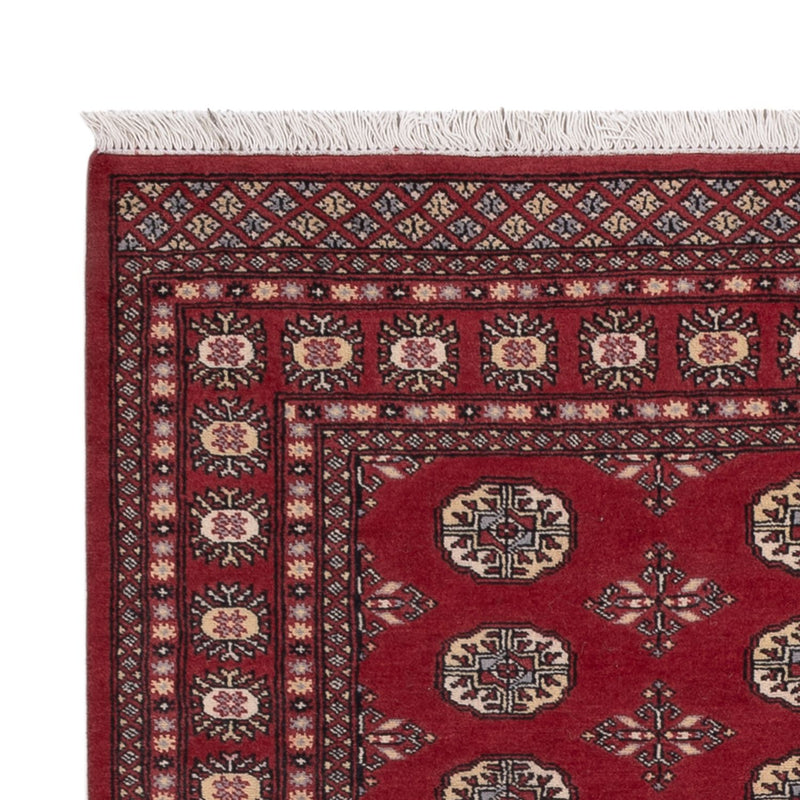 Pakistan teppe 197x139cm - Orientalsk teppe