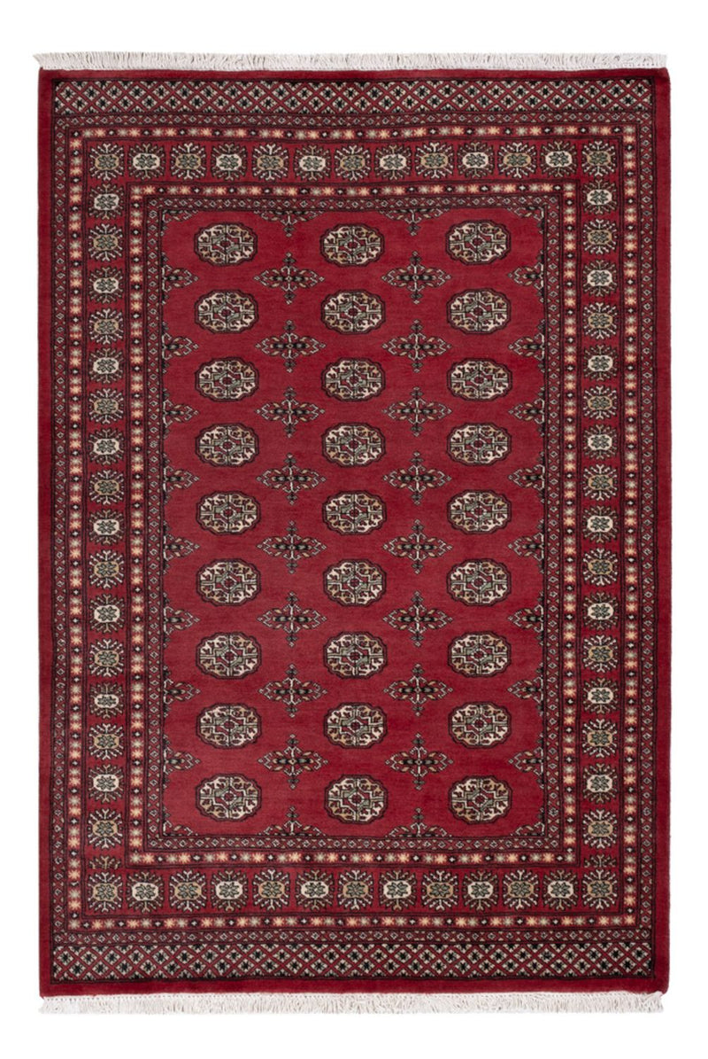 Pakistan teppe 204x141cm - Orientalsk teppe