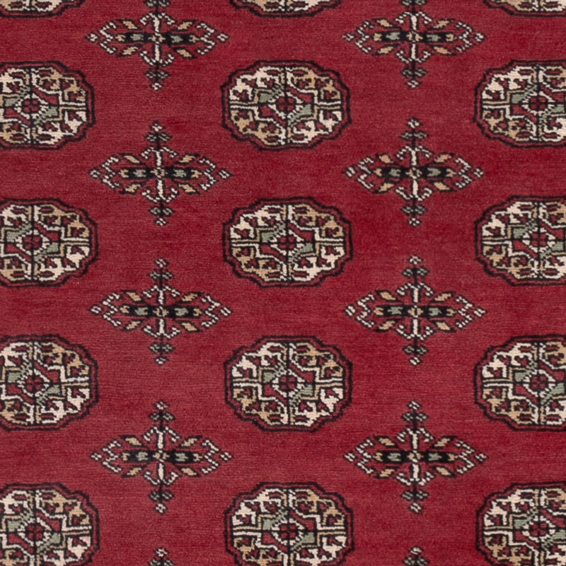 Pakistan teppe 204x141cm - Orientalsk teppe