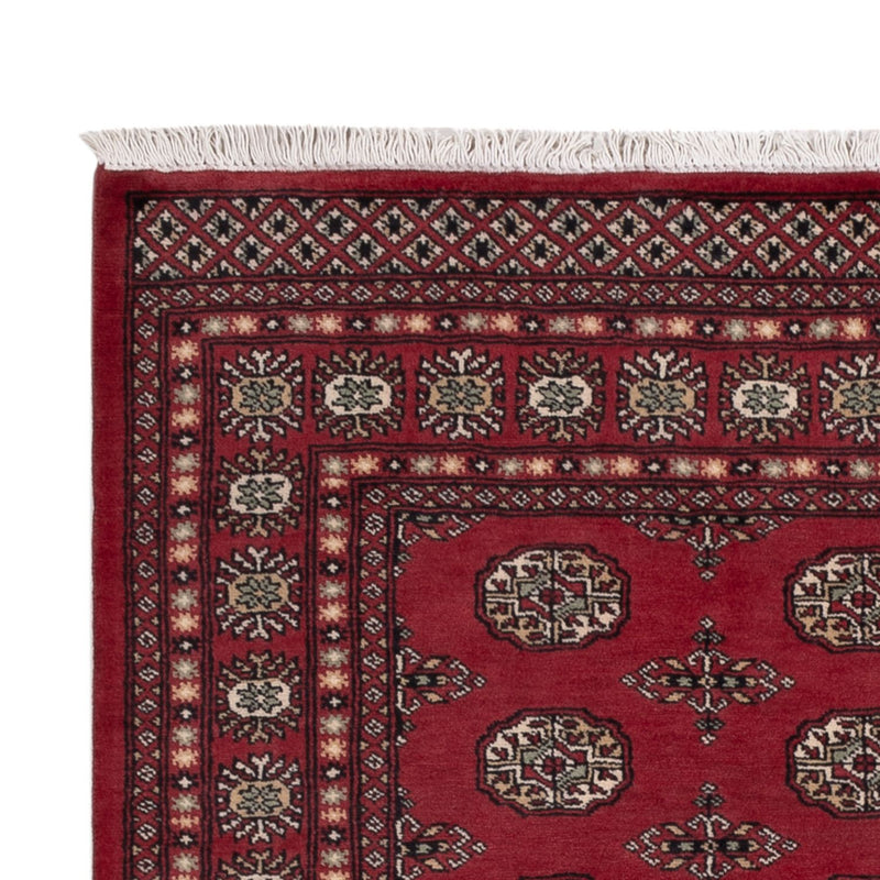 Pakistan teppe 204x141cm - Orientalsk teppe