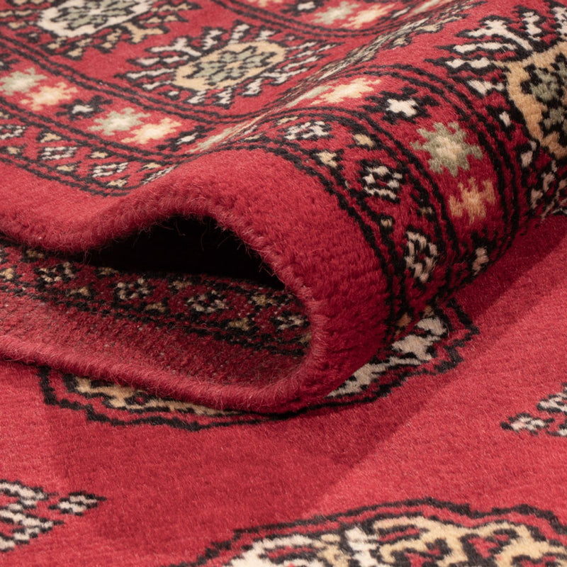 Pakistan teppe 204x141cm - Orientalsk teppe