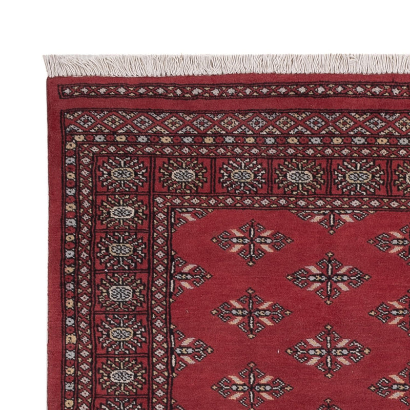 Pakistan teppe 183x140cm - Orientalsk teppe