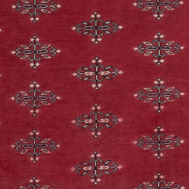 Pakistan teppe 195x140cm - Orientalsk teppe