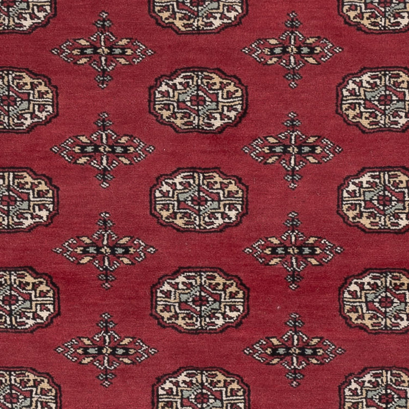 Pakistan teppe 199x140cm - Orientalsk teppe