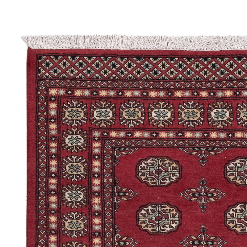Pakistan teppe 199x140cm - Orientalsk teppe