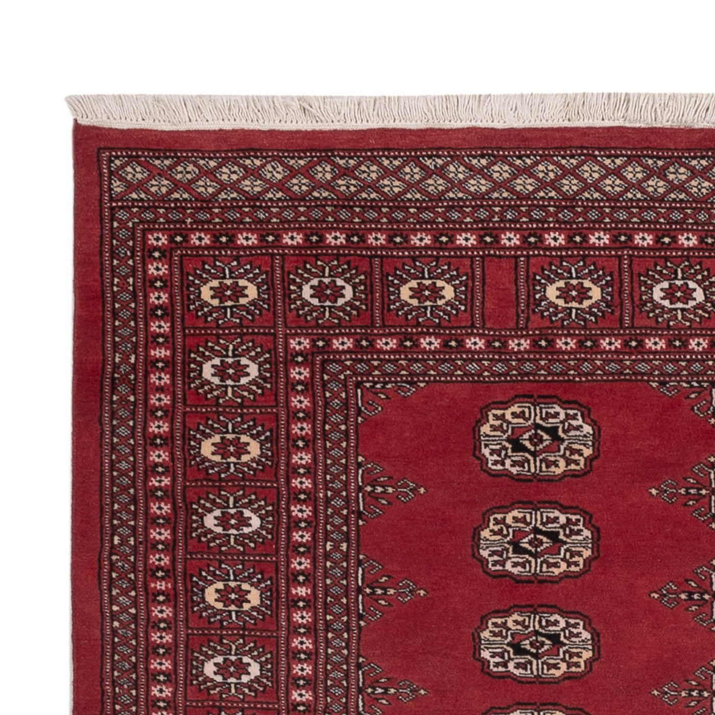 Pakistan teppe 185x138cm - Orientalsk teppe