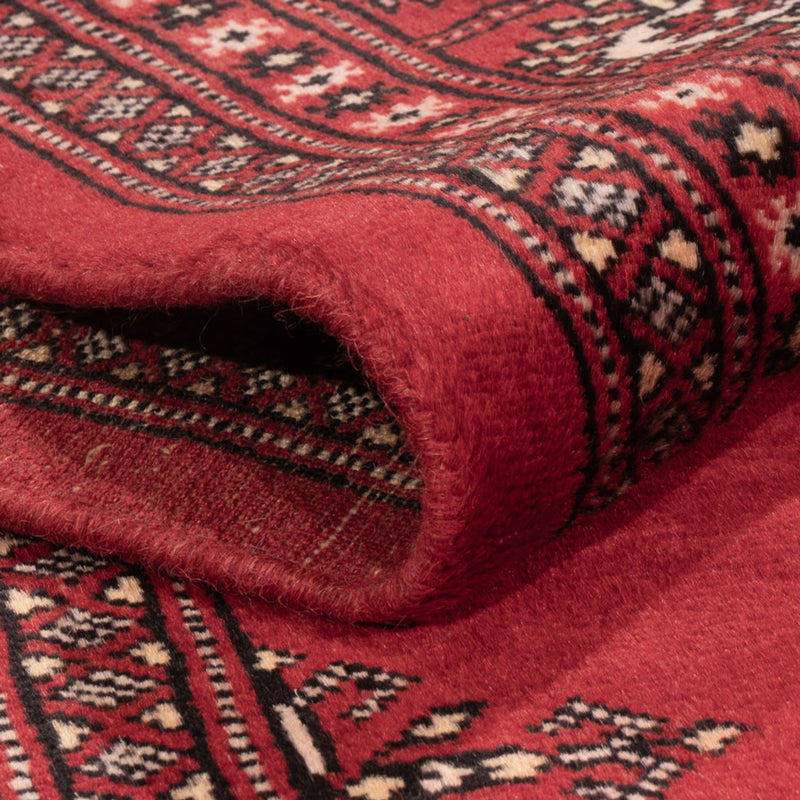 Pakistan teppe 185x138cm - Orientalsk teppe