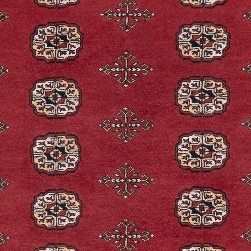 Pakistan teppe 216x139cm - Orientalsk teppe