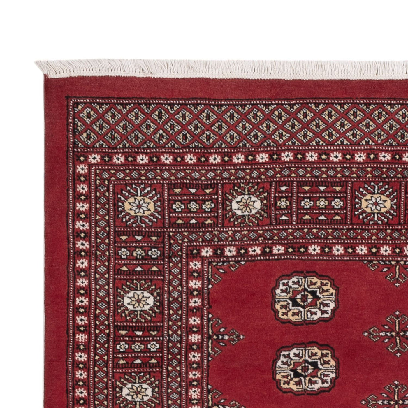 Pakistan teppe 216x139cm - Orientalsk teppe