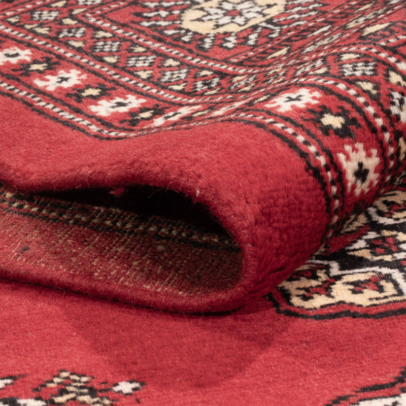 Pakistan teppe 216x139cm - Orientalsk teppe
