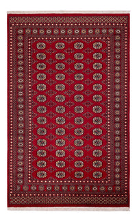Pakistan teppe 256x167cm - Orientalsk teppe – product image