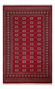 Pakistan teppe 256x167cm - Orientalsk teppe