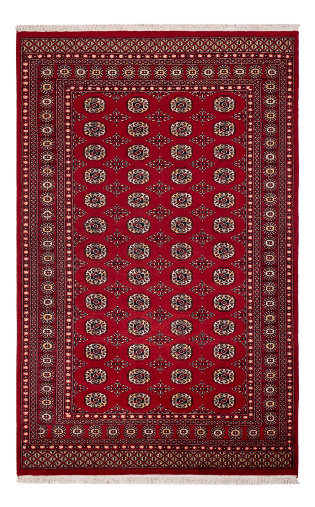 Pakistan teppe 256x167cm - Orientalsk teppe