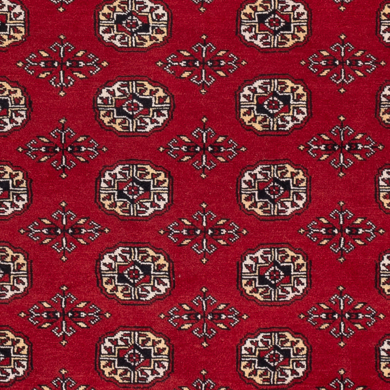 Pakistan teppe 256x167cm - Orientalsk teppe