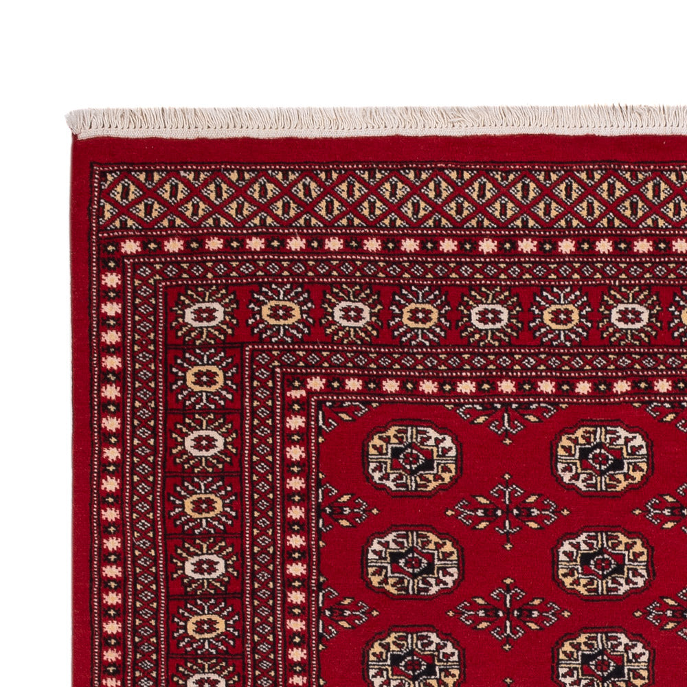 Pakistan teppe 256x167cm - Orientalsk teppe