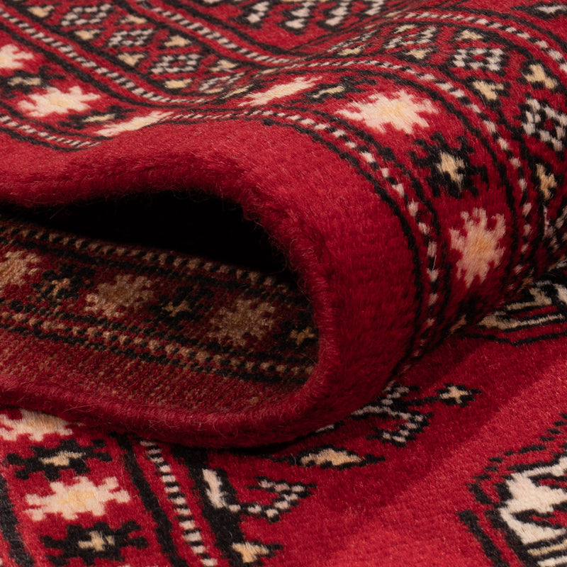 Pakistan teppe 256x167cm - Orientalsk teppe