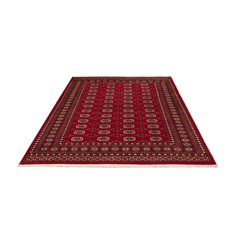 Pakistan teppe 256x167cm - Orientalsk teppe