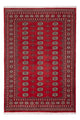 Pakistan teppe 243x168cm - Orientalsk teppe