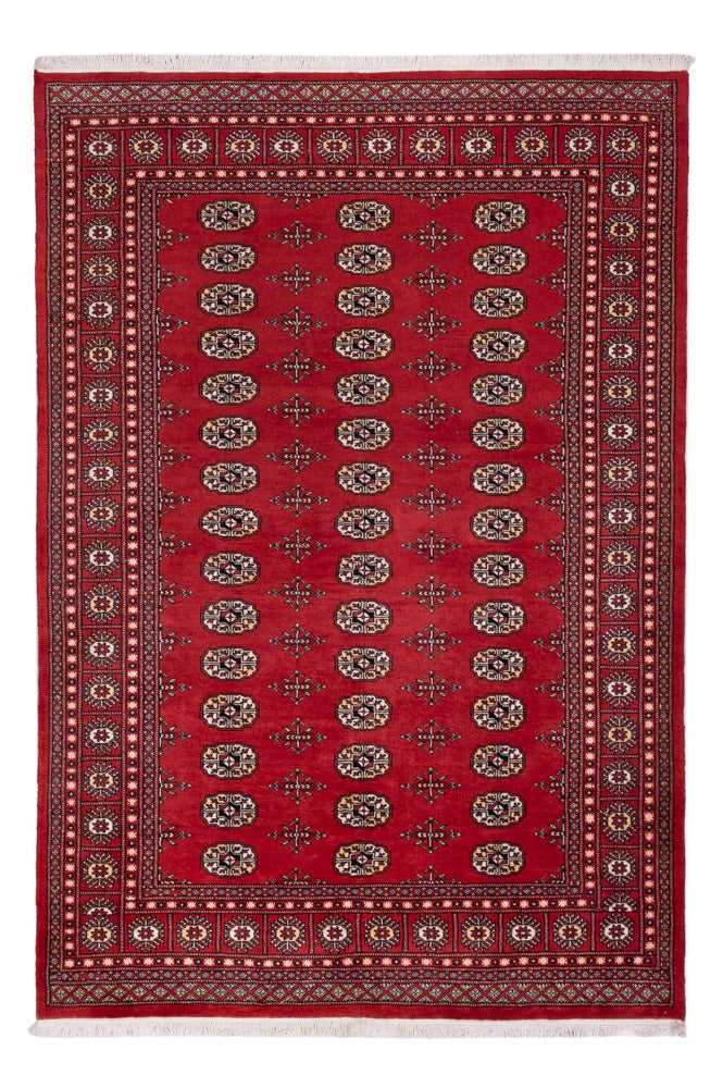 Pakistan teppe 243x168cm - Orientalsk teppe
