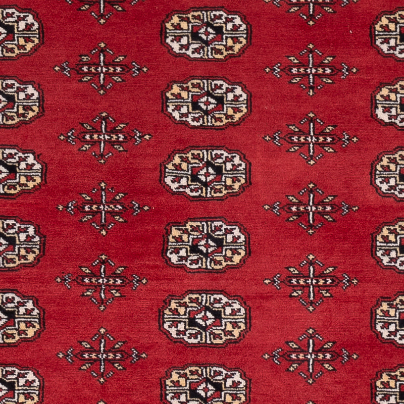 Pakistan teppe 243x168cm - Orientalsk teppe