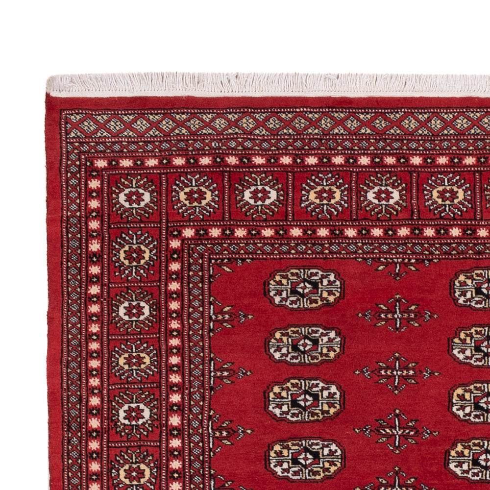 Pakistan teppe 243x168cm - Orientalsk teppe