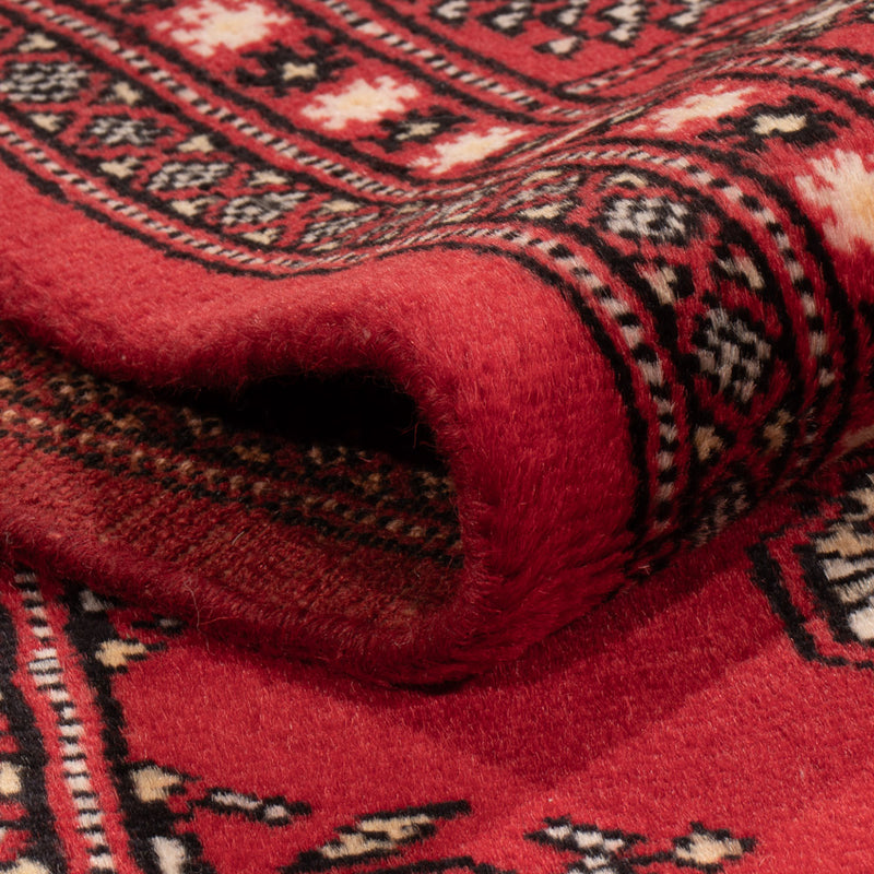 Pakistan teppe 243x168cm - Orientalsk teppe
