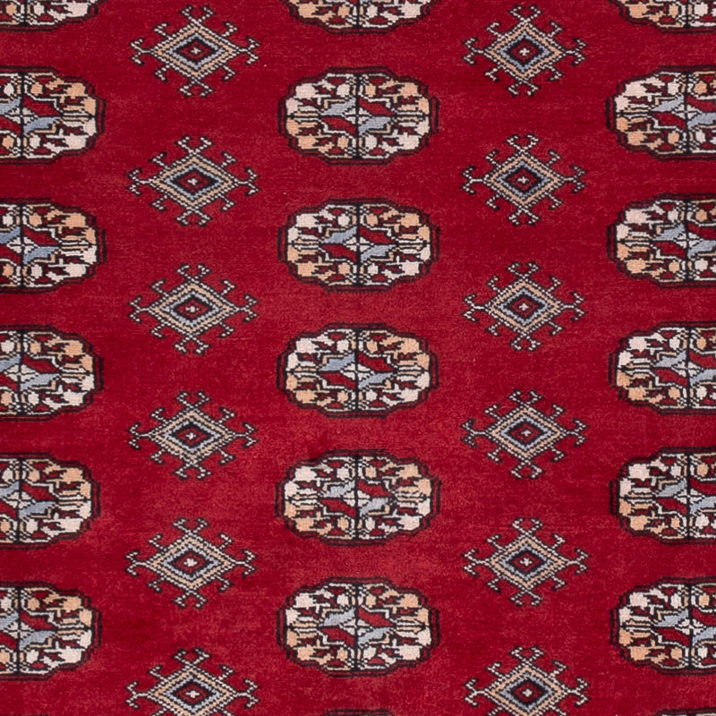 Pakistan teppe 241x154cm - Orientalsk teppe