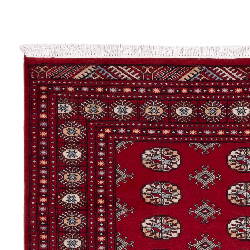 Pakistan teppe 241x154cm - Orientalsk teppe