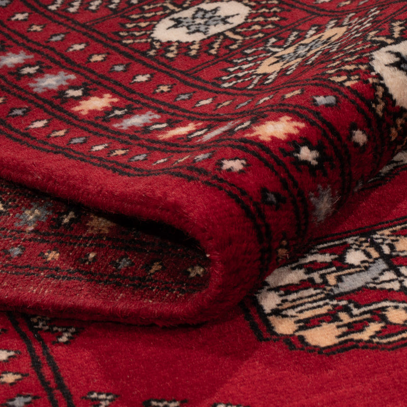 Pakistan teppe 241x154cm - Orientalsk teppe