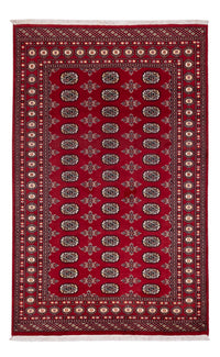 Pakistan teppe 244x154cm - Orientalsk teppe – product image