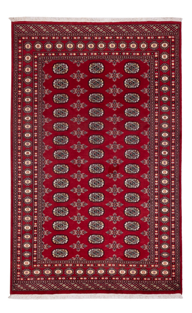 Pakistan teppe 244x154cm - Orientalsk teppe