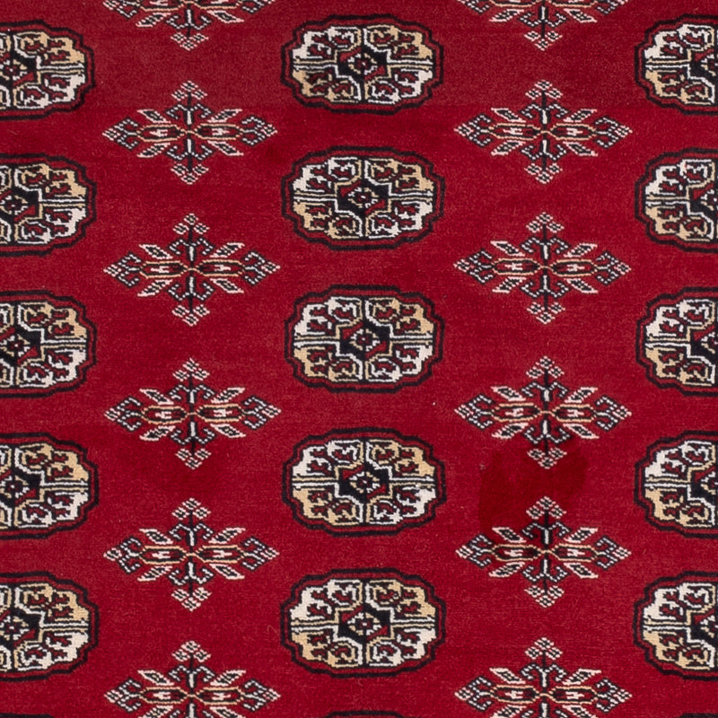 Pakistan teppe 244x154cm - Orientalsk teppe