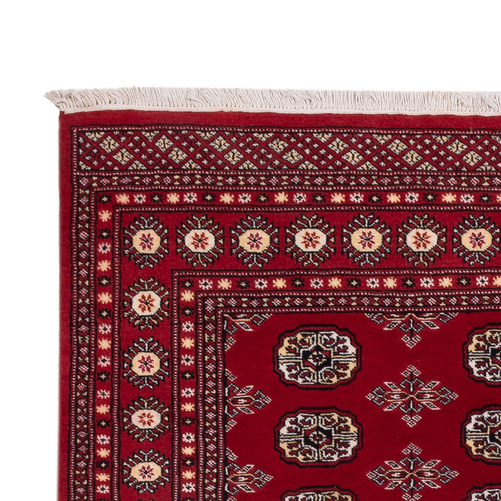 Pakistan teppe 244x154cm - Orientalsk teppe