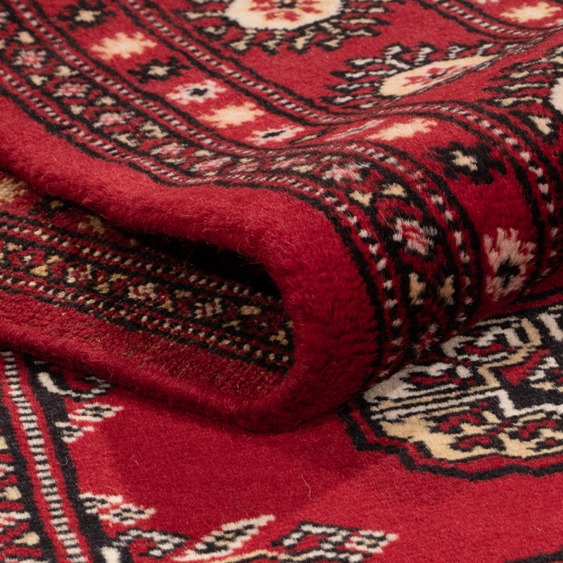 Pakistan teppe 244x154cm - Orientalsk teppe