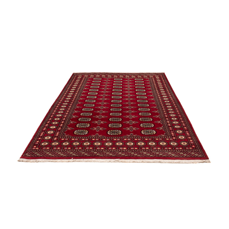 Pakistan teppe 244x154cm - Orientalsk teppe