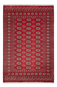 Pakistan teppe 158x237cm - Orientalsk teppe – product image