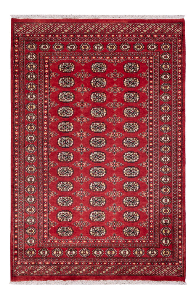 Pakistan teppe 158x237cm - Orientalsk teppe